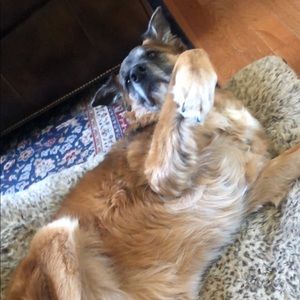 Meet your Posher, Alexandra